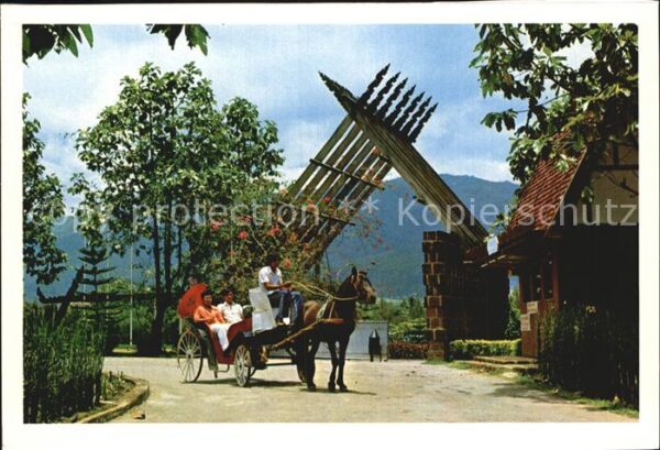 Pferdekutschen Entrance of Laddaland Park Chiengmai No