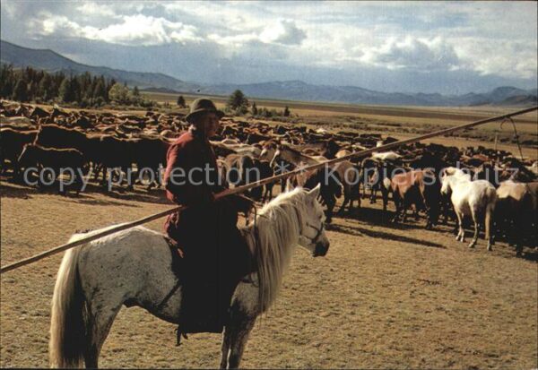 Pferde Herdsman Mongolia