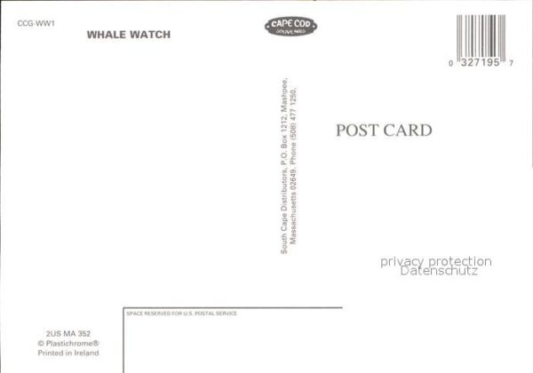 Wal Whale Watch Massachusetts – Bild 2