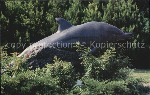 Delfine Delphine Dolphins Dauphins Delfi Black Dolphin Albacore Park Portsmouth