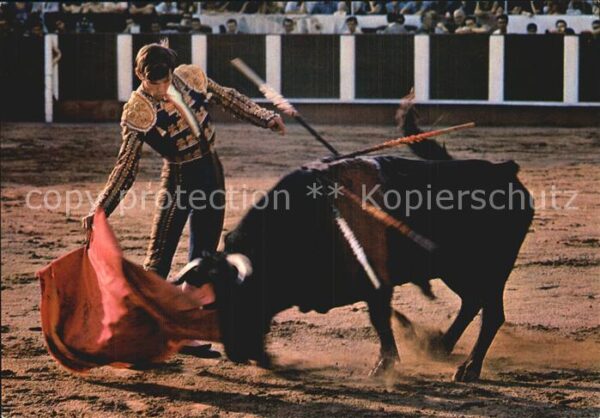Stierkampf Corrida de Toros Paso con la Derecha Ma
