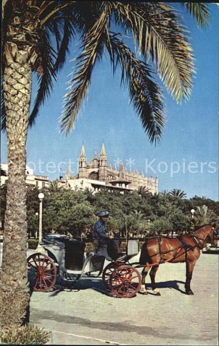 Pferdekutschen Mallorca Palma Catedral Desembarcadero