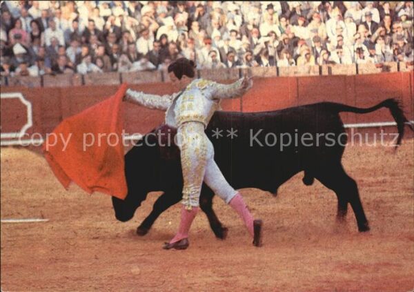 Stierkampf Diego Puerta Pase por alto Valencia