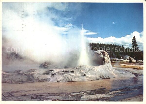 Geysire Vulcans Geysers Vulkane Yellowstone National Park Grotto Geyser