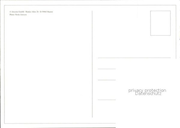 Schweine – Bild 2