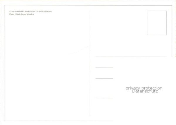 Schafe – Bild 2