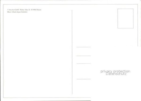 Schafe – Bild 2