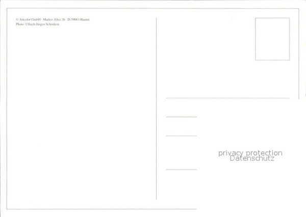 Ziege – Bild 2