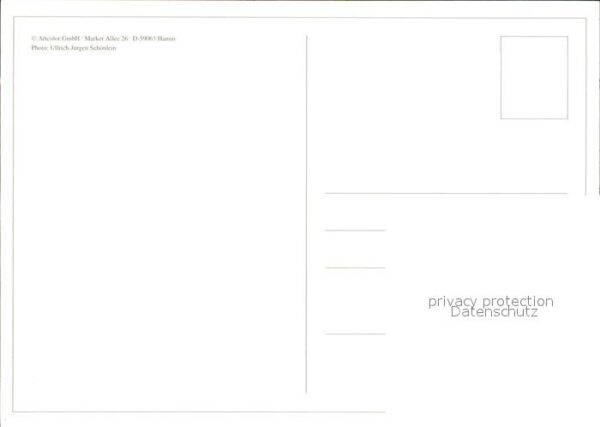 Schafe – Bild 2
