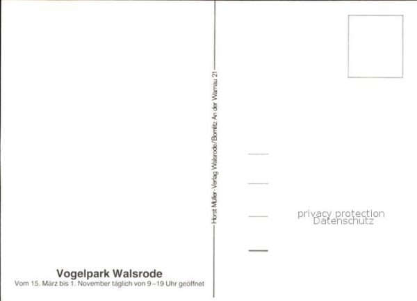 Walsrode Lueneburger Heide Vogelpark Brücke – Bild 2