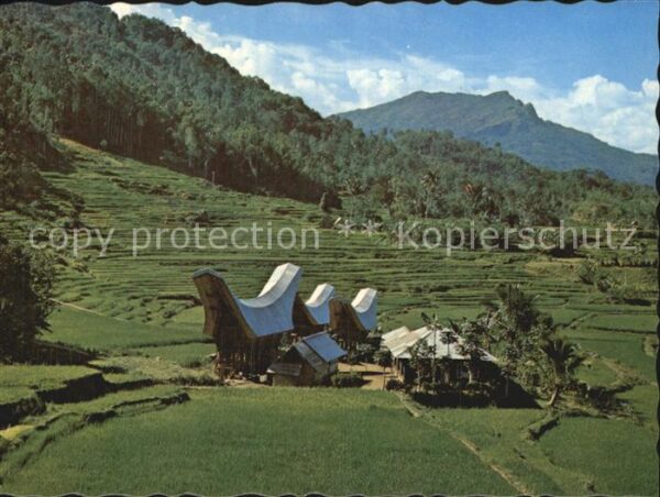 Sumatra Sumatera Landschafts Panorama