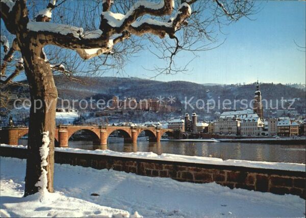 Heidelberg Neckar Brücke und Schloss im Winter