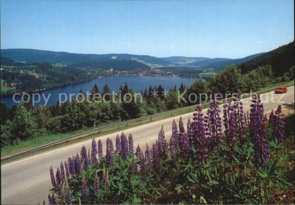 Titisee Seepanorama