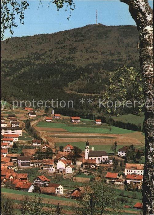 Rimbach Bayrischer Wald Hohenbogen