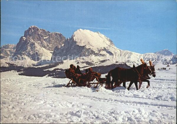 Alpe di Siusi Sassolungo Winter