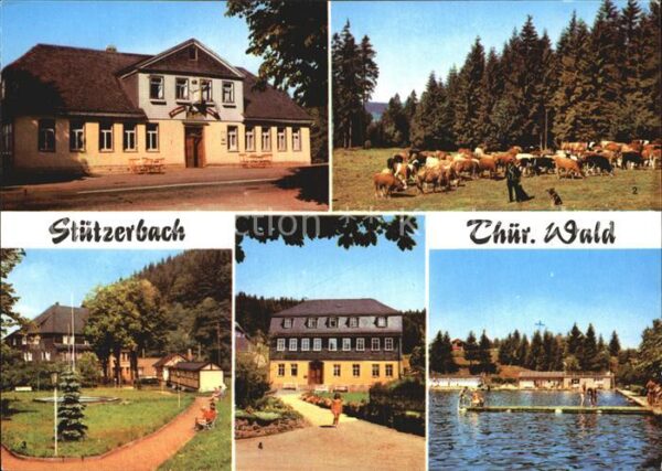 Stuetzerbach Gasthaus Auerhahn Kuhherde Kurpark Schw