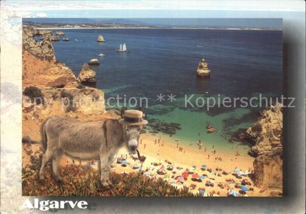 Algarve Strand Muli