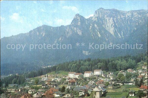 Busteni Panorama