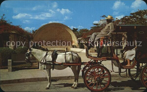 Mérida Yucatan Pferdekutsche Amerikanischer Park