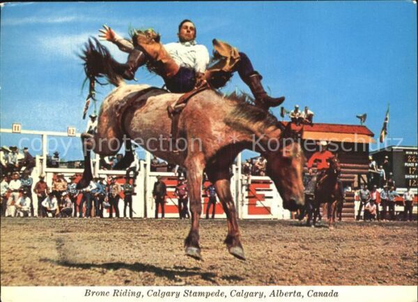 Calgary Bronc Riding Calgary Stampede