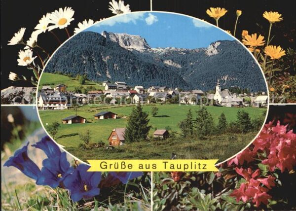 Tauplitz Tauplitzalm Sturzhahn