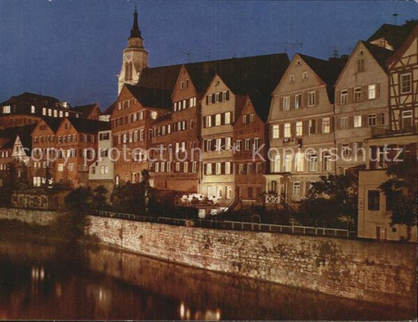 Tuebingen Neckar Stiftskirche