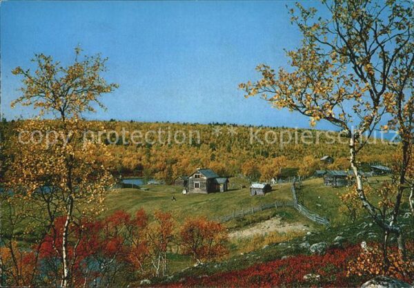 Suomi Herbstfärbung