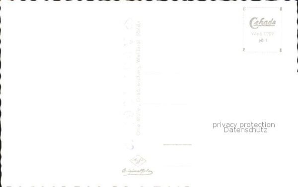 Waldbroel Siedlung – Bild 2