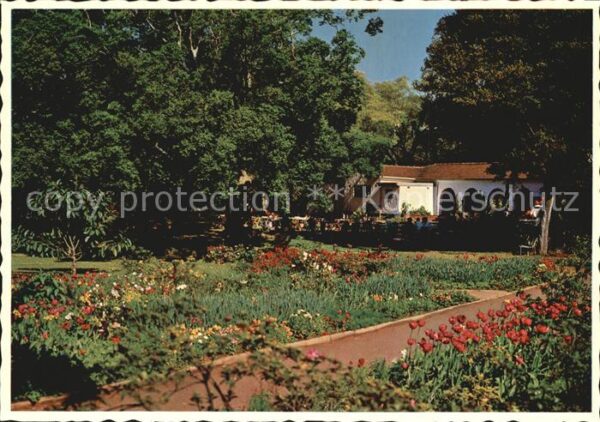 Durban South Africa Mitchell Park