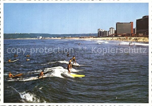 Durban South Africa Surfer
