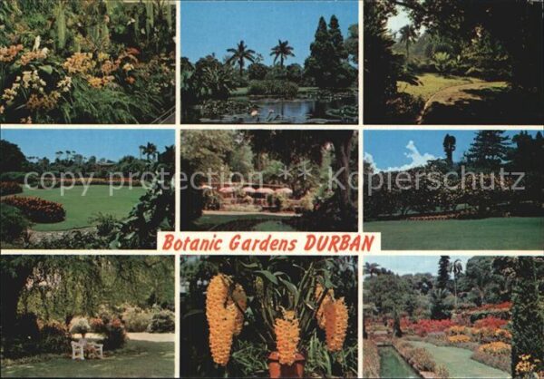Durban South Africa Botanischer Garten