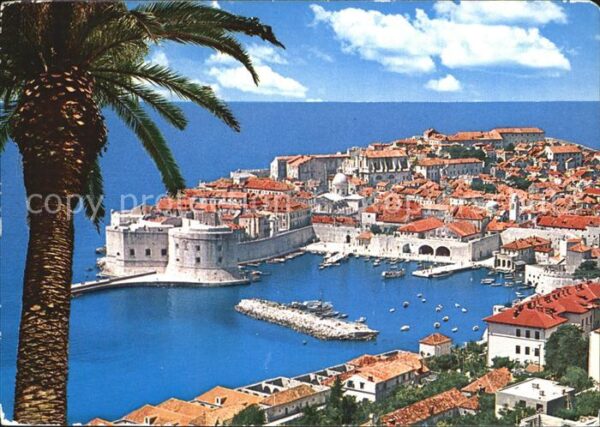 Dubrovnik Ragusa Panorama