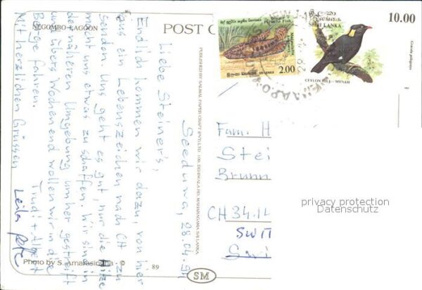 Negombo Lagune – Bild 2