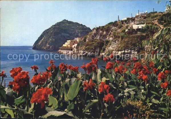 Sant Angelo Ischia Teilansicht
