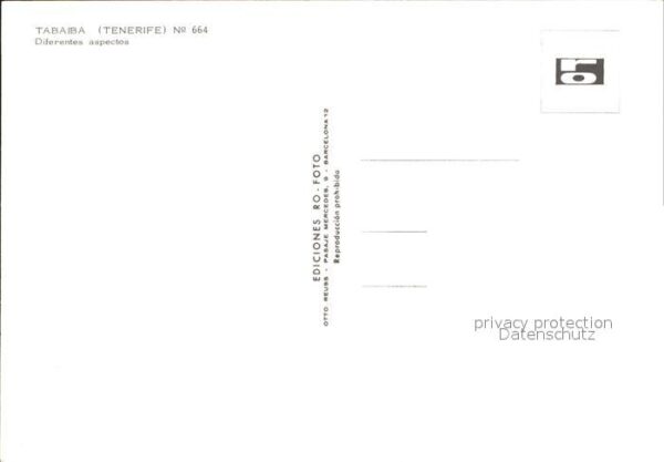 Tabaiba Teilansichten – Bild 2