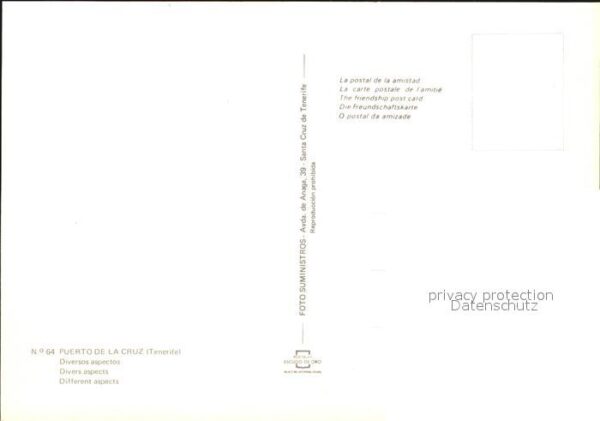 Puerto de la Cruz Fliegeraufnahme – Bild 2