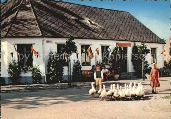 Skane Gänsehirten