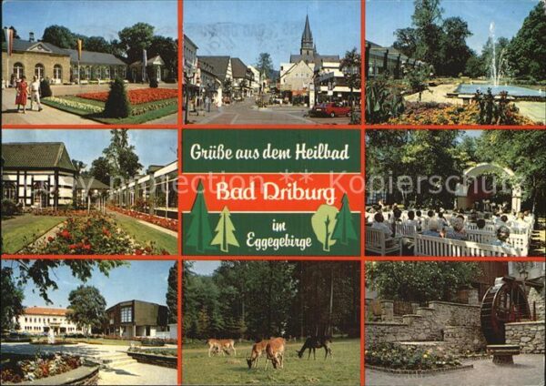 Bad Driburg Kurpark Mühle Wildgehege Brunnen Stadta