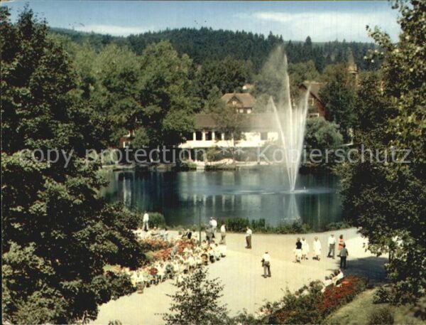 Braunlage Kurparksee Fontäne