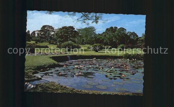 Java Indonesien Botanischer Garten Bogor