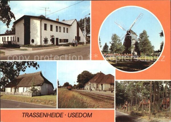 Trassenheide Usedom Windmühle Reetdachhaus