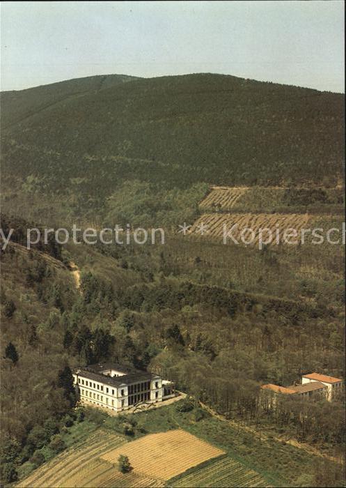 Edenkoben Fliegeraufnahme Schloß Villa Ludwigshöh