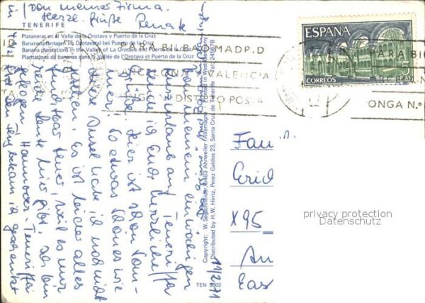 Tenerife Fliegeraufnahme Plataneras – Bild 2