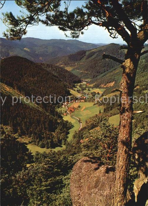 Reichenbach Gengenbach Blick vom Apfelfelsen