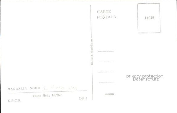 Mangalia Nord Jupiter – Bild 2
