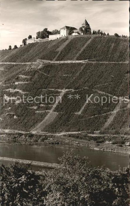 Marienburg Mosel Moselpartie