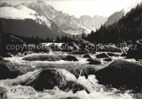 Vysoke Tatry Bach Javorinka