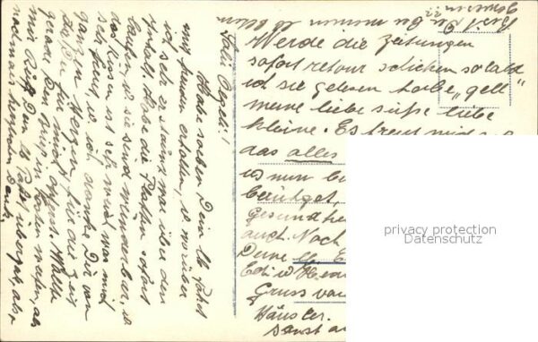 Foto NPG Nr. 497/6 Rosen – Bild 2