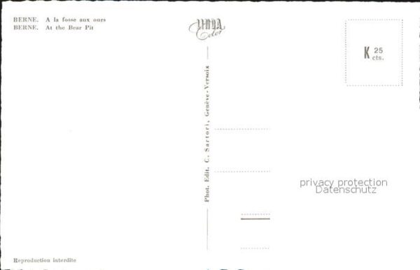 Baeren Bern Bärengraben – Bild 2