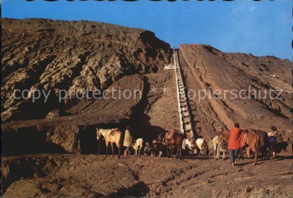 Pferde Horses for hire Bromo East Java